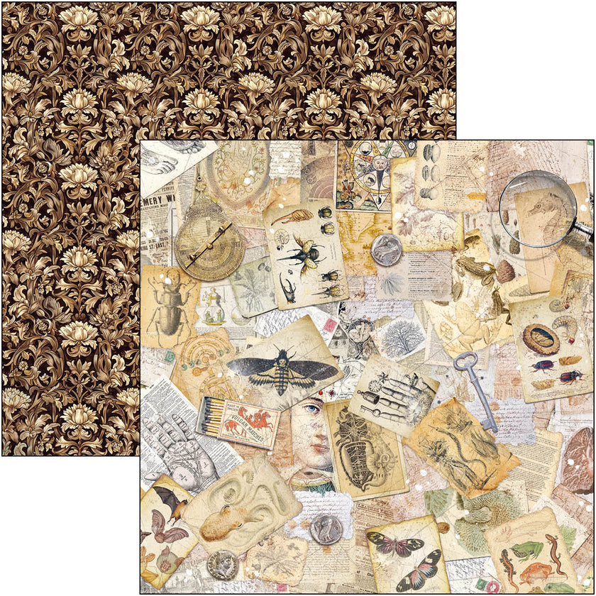 Cabinet Of Curiosities Patterns Pad 12