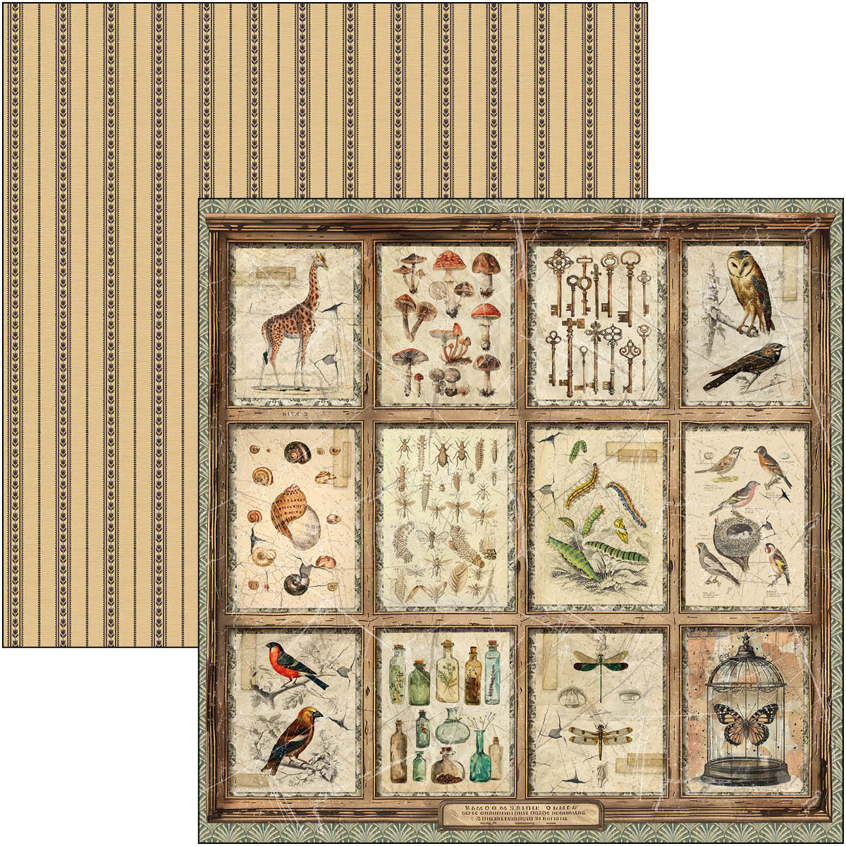 Cabinet Of Curiosities Patterns Pad 12