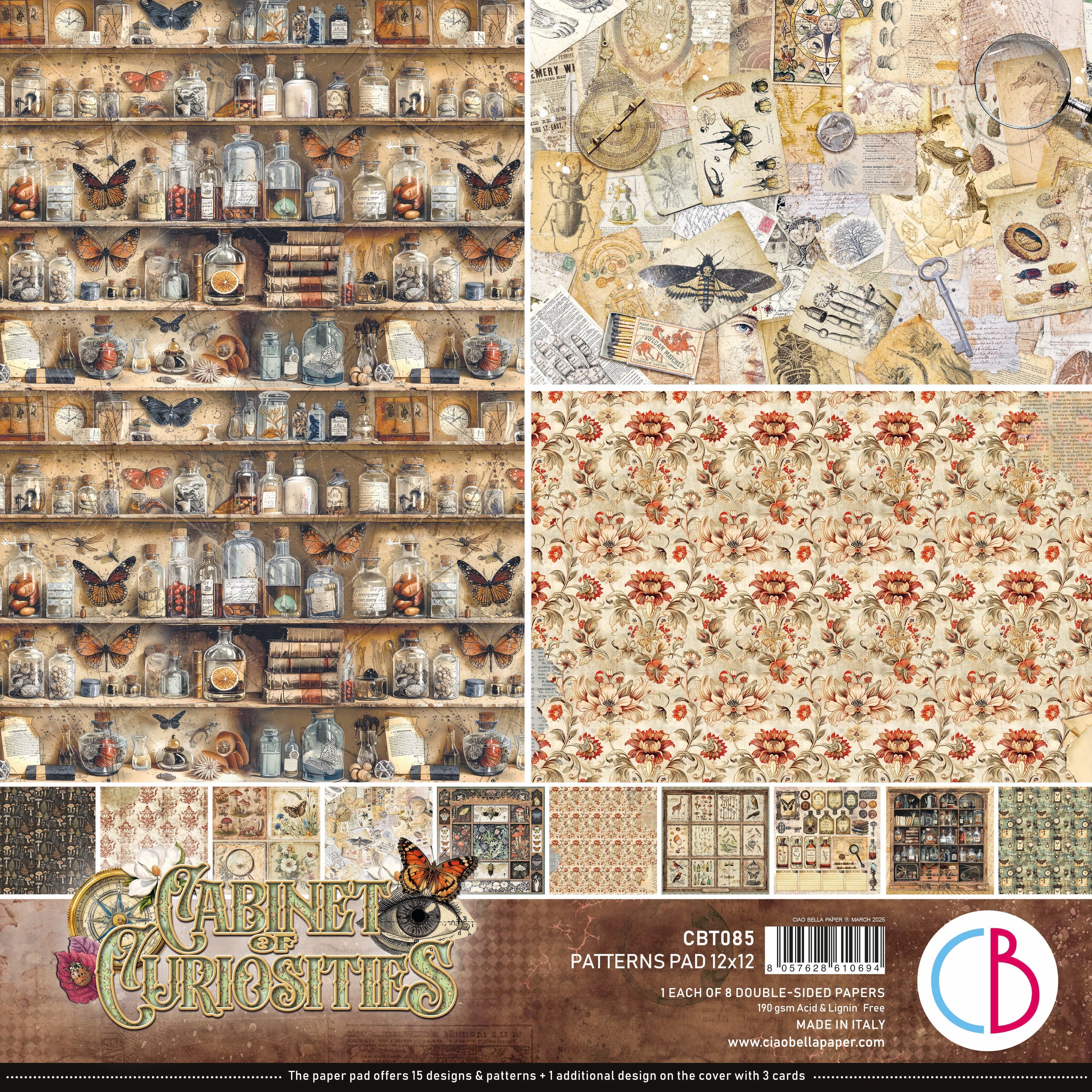 Cabinet Of Curiosities Patterns Pad 12