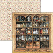 Cabinet Of Curiosities Patterns Pad 12