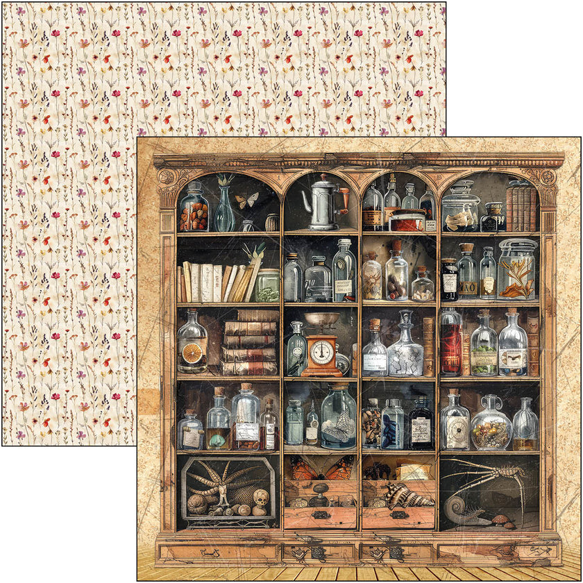 Cabinet Of Curiosities Patterns Pad 12