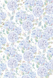 Ciao Bella Vellum Enchanted Land Paper Patterns A4 6/Pkg