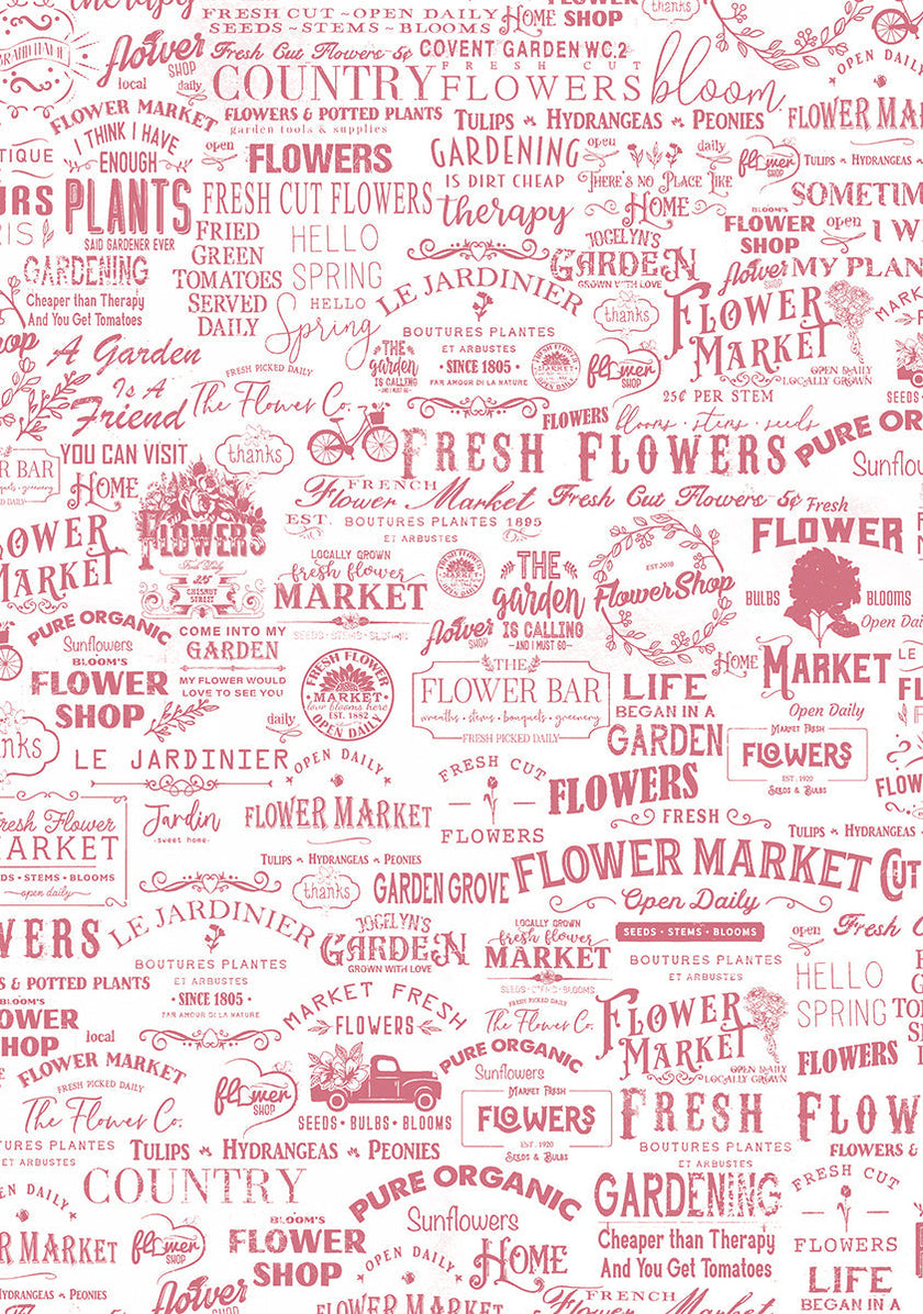 Vellum Flower Shop Paper Patterns A4 6/Pkg