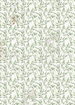 Vellum Cabinet Of Curiosities Paper Patterns A4 6/Pkg