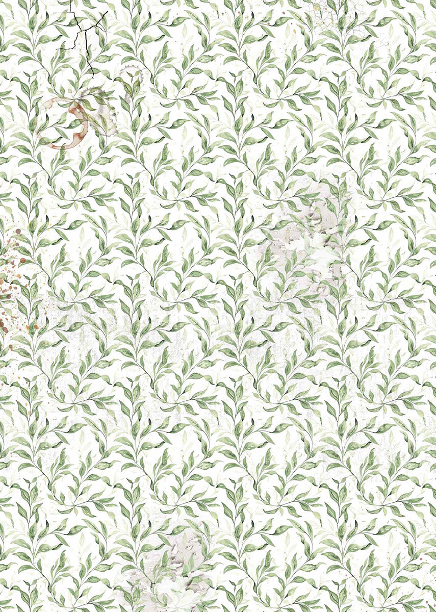 Vellum Cabinet Of Curiosities Paper Patterns A4 6/Pkg