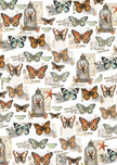 Vellum Cabinet Of Curiosities Paper Patterns A4 6/Pkg