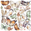 Ciao Bella Vellum Reign Of Grace Fussy Cut 6