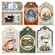 Vellum Wizard Academy Fussy Cut 6