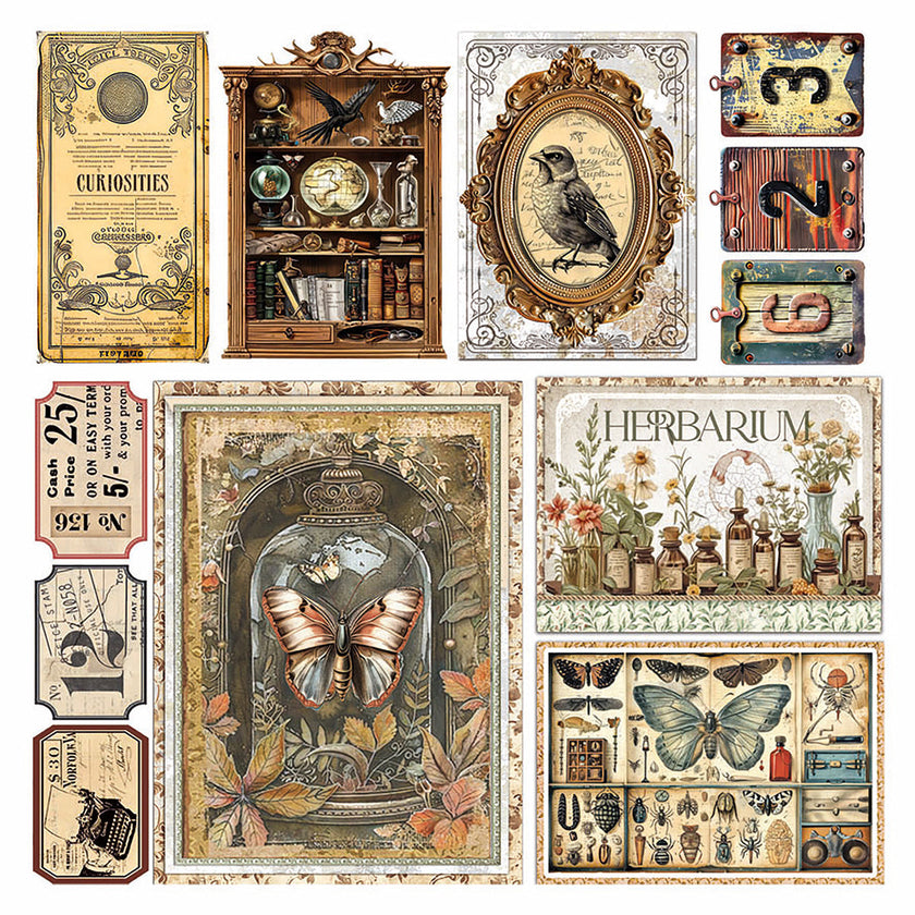 Vellum Cabinet Of Curiosities Fussy Cut 6