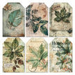 Vellum Cabinet Of Curiosities Fussy Cut 6