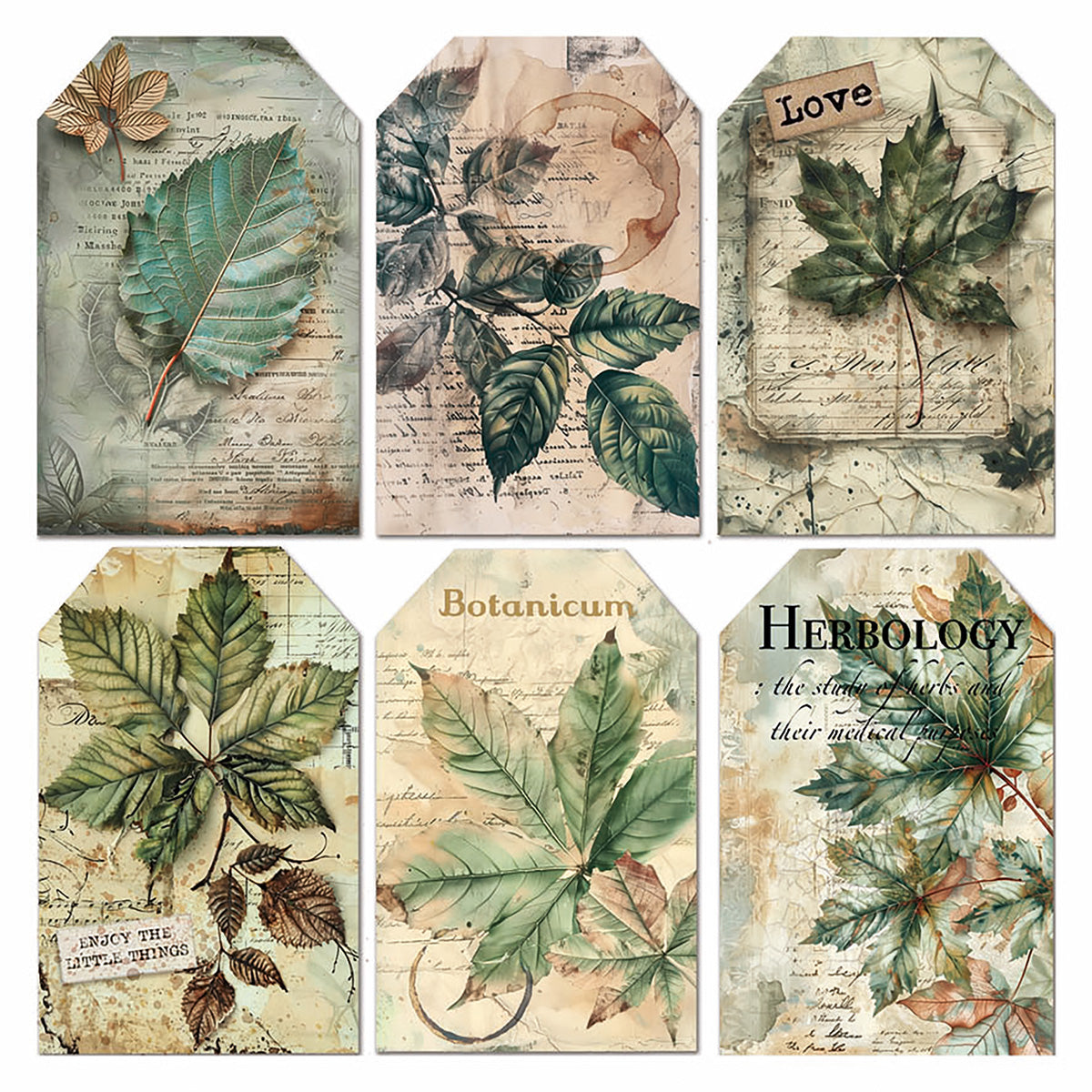 Vellum Cabinet Of Curiosities Fussy Cut 6