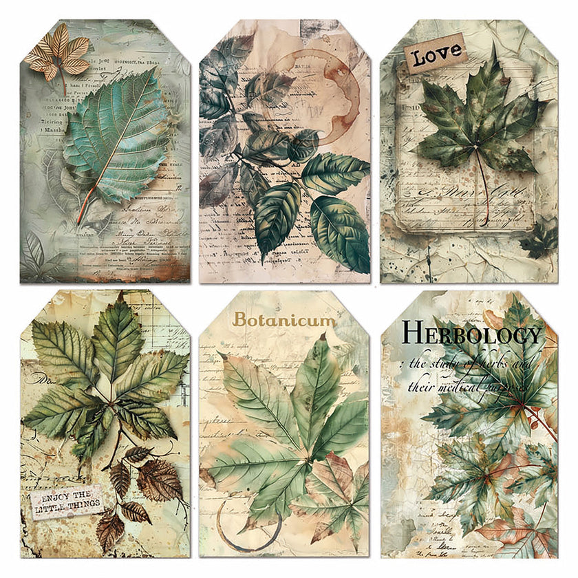 Vellum Cabinet Of Curiosities Fussy Cut 6