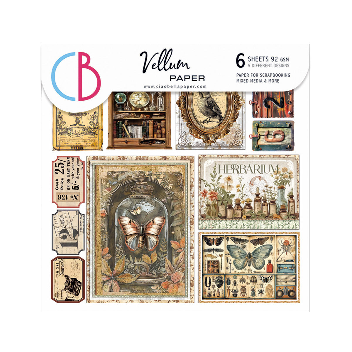 Vellum Cabinet Of Curiosities Fussy Cut 6
