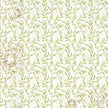 Vellum Cabinet Of Curiosities Fussy Cut 6