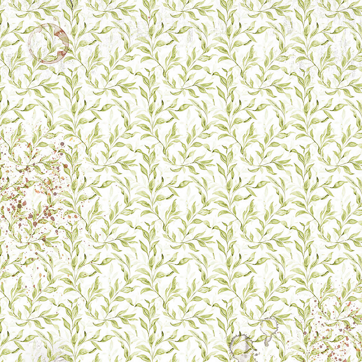 Vellum Cabinet Of Curiosities Fussy Cut 6
