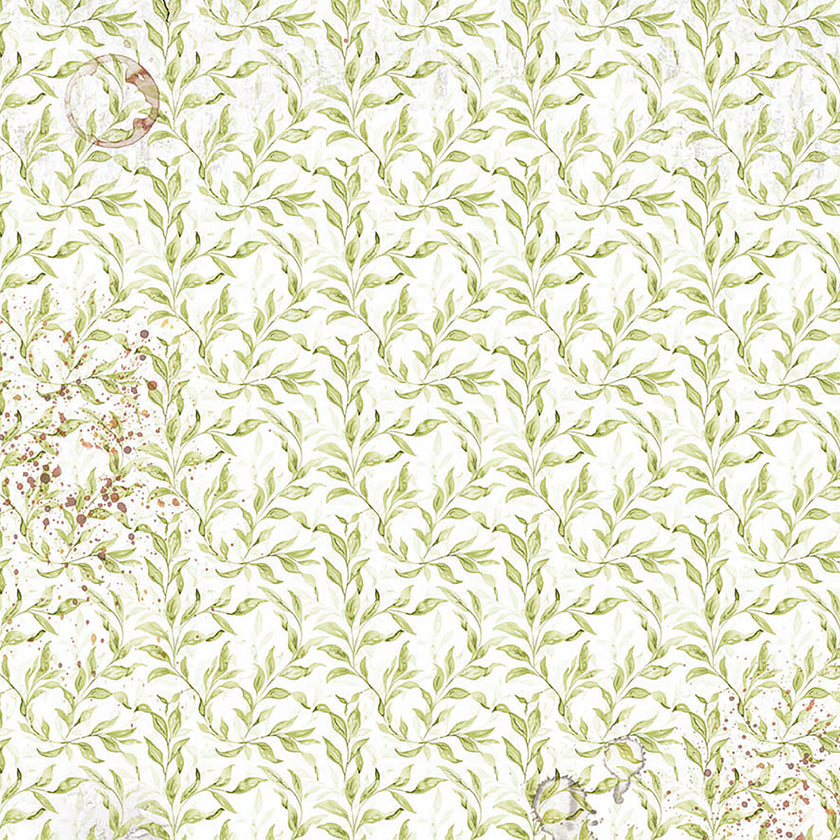 Vellum Cabinet Of Curiosities Fussy Cut 6