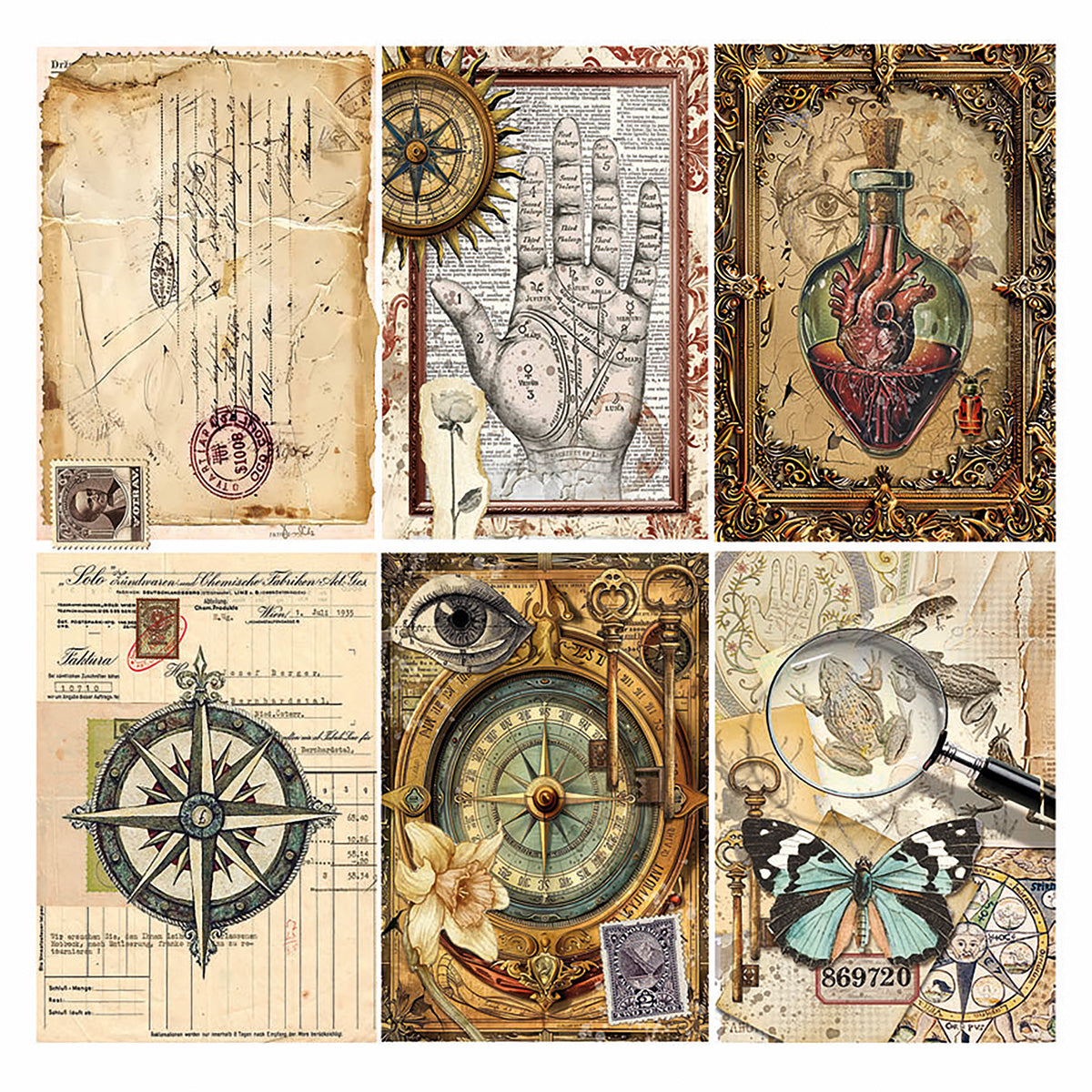 Vellum Cabinet Of Curiosities Fussy Cut 6
