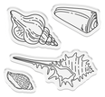 Crafter’s Companion Coastal Collection Stamp & Die - Seashells on the Seashore