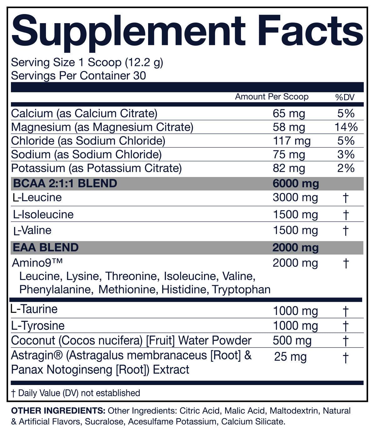Nutrifitt Epic Aminos