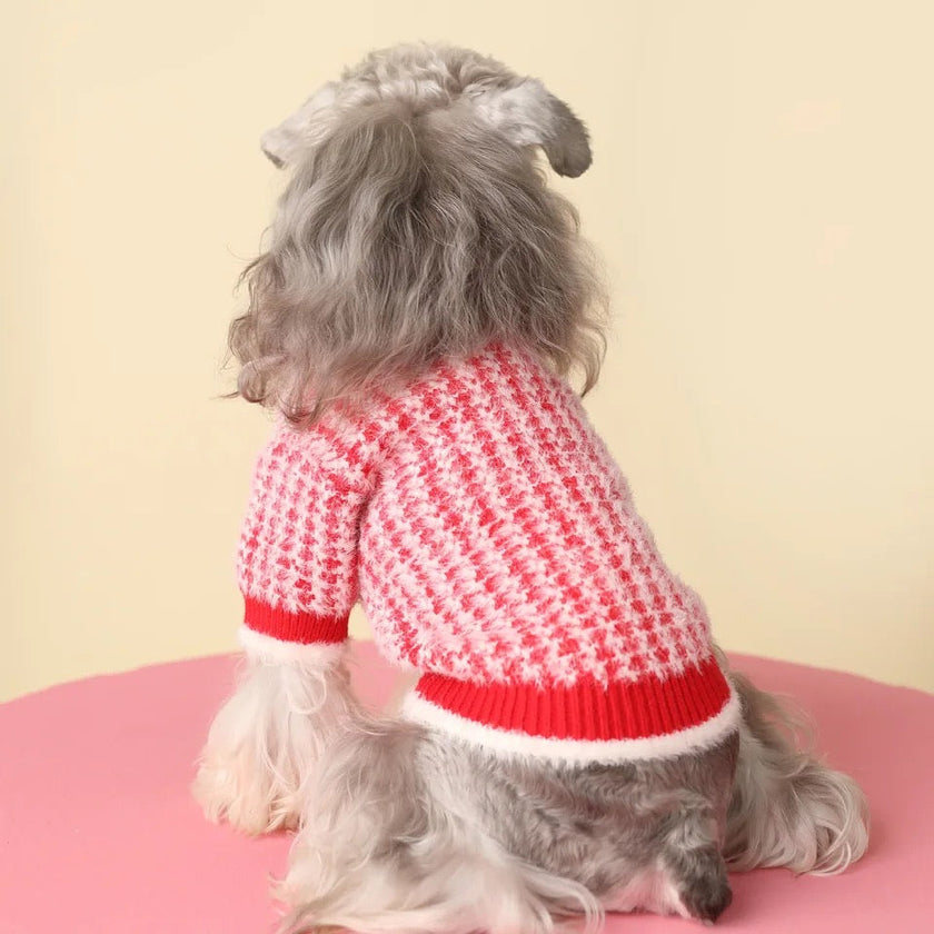 Rosalinda Cozy Knit Dog Sweater | Warm Everyday Dog Sweater