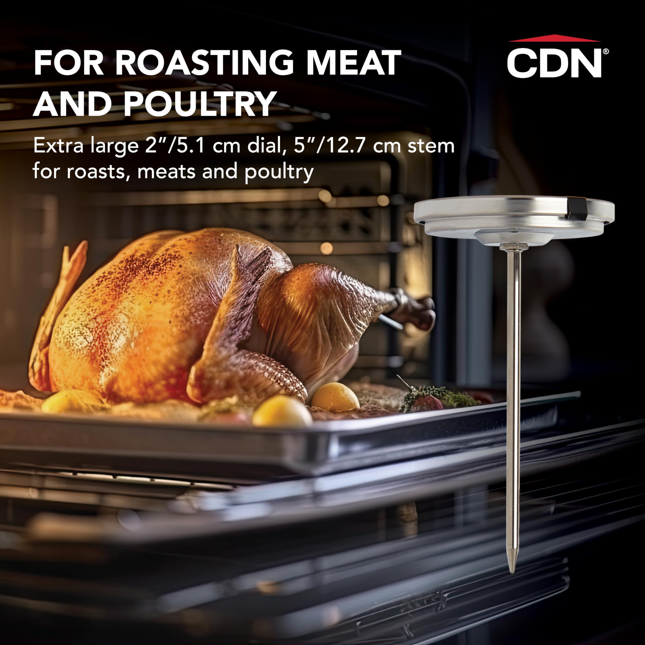 CDN - Thermomètre à cadran pour cuisson de viande/volaille, résistant à la chaleur, argenté, haute précision.