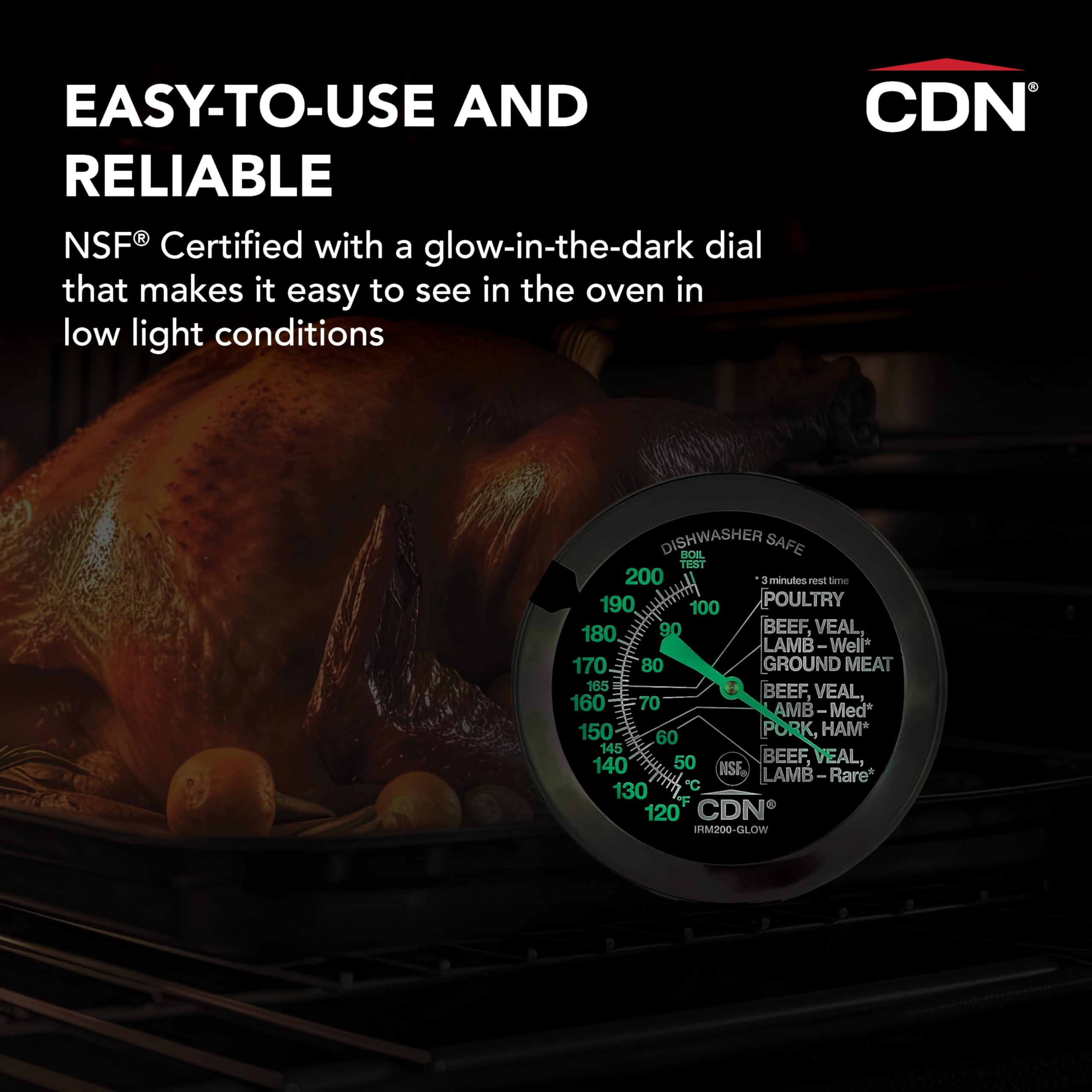 CDN - Thermomètre à cadran pour cuisson de viande/volaille, résistant à la chaleur, argenté, haute précision.