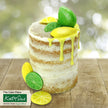 Citrus Fruit Slices Silicone Mould