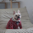 Brrbrry Classic Dog Sweater | Cozy Winter Dog Clothing