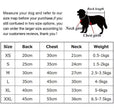 Adidog Dog Tracksuit | Streetwear Athletic Dog Outfit