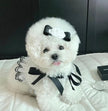 Coco Chewnel Pearl Dog Dress | Elegant Dog Dress