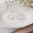 Hexagon Hoops