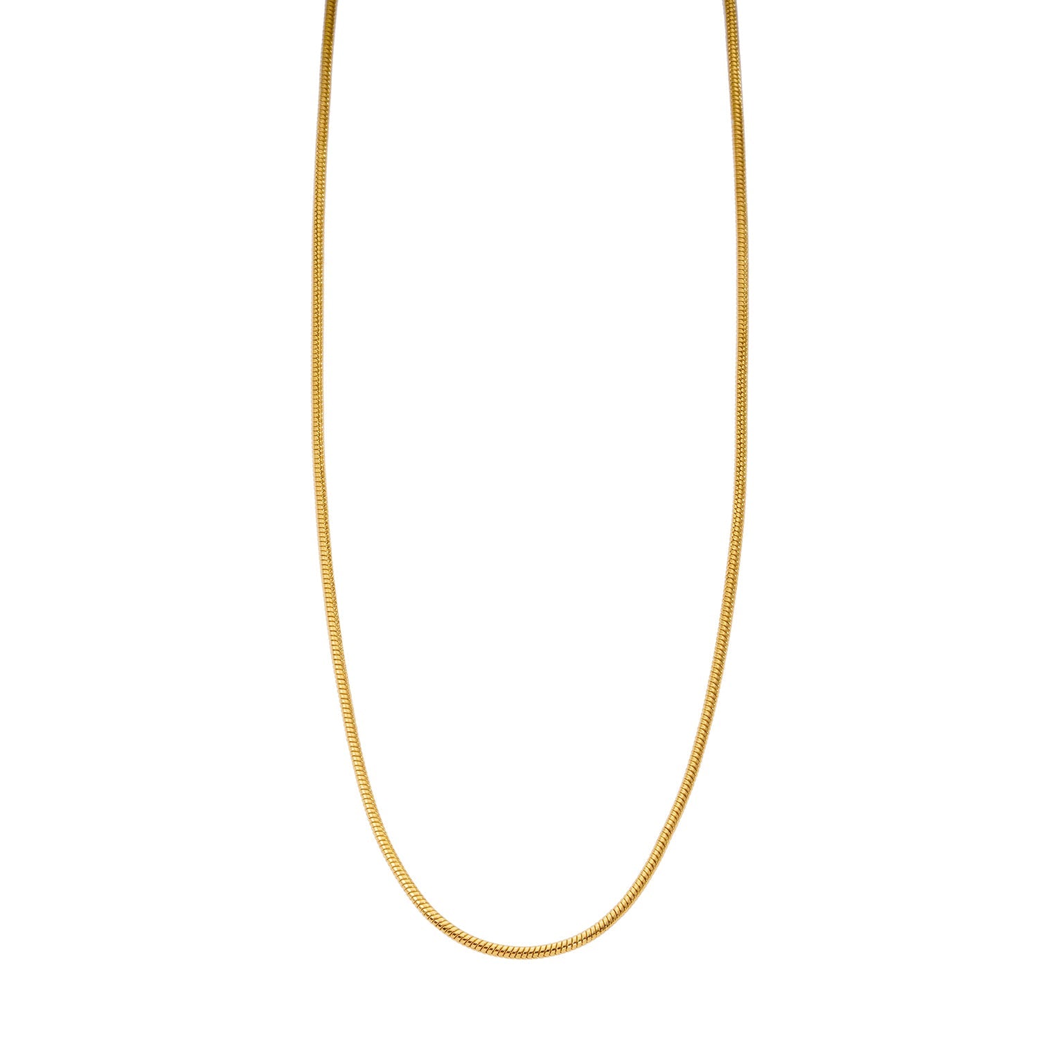 CHASTITY: Dainty Snake Skin Textured Gold Chain Necklace
