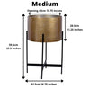 Chava - Brass Mid-Century Planter With Black Stand (Multiple Sizes)