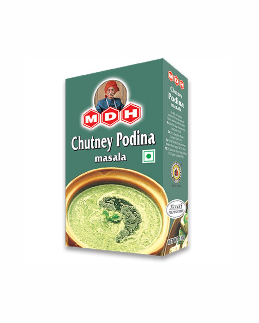 MDH Seasoning Mix Chutney Podina Masala 100g