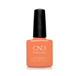 CND - Shellac Catch Of The Day
