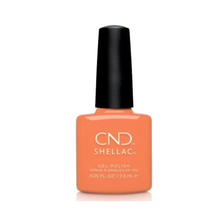 CND - Shellac Catch Of The Day