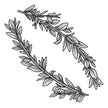 Couture Creations - Elegance Collection - Layering Stamp And Die Set - Curving Branches Mini (6pc)