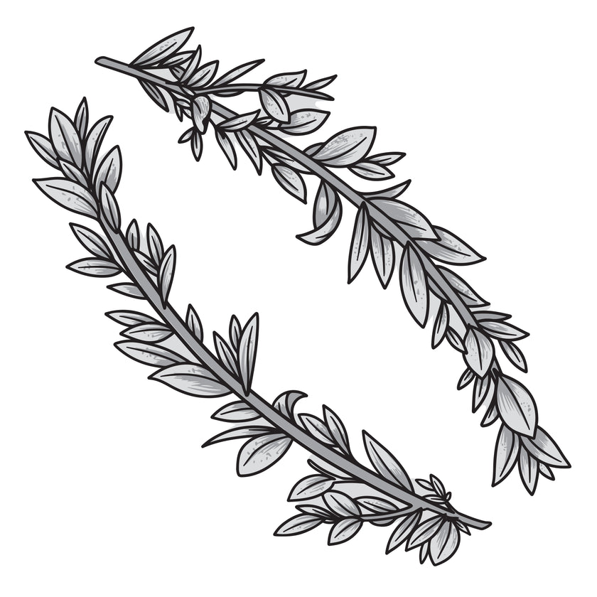 Couture Creations - Elegance Collection - Layering Stamp And Die Set - Curving Branches Mini (6pc)