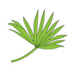 Couture Creations - Palm Leaf Stamp And Dies