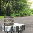 Cobra - Seagrass Planter