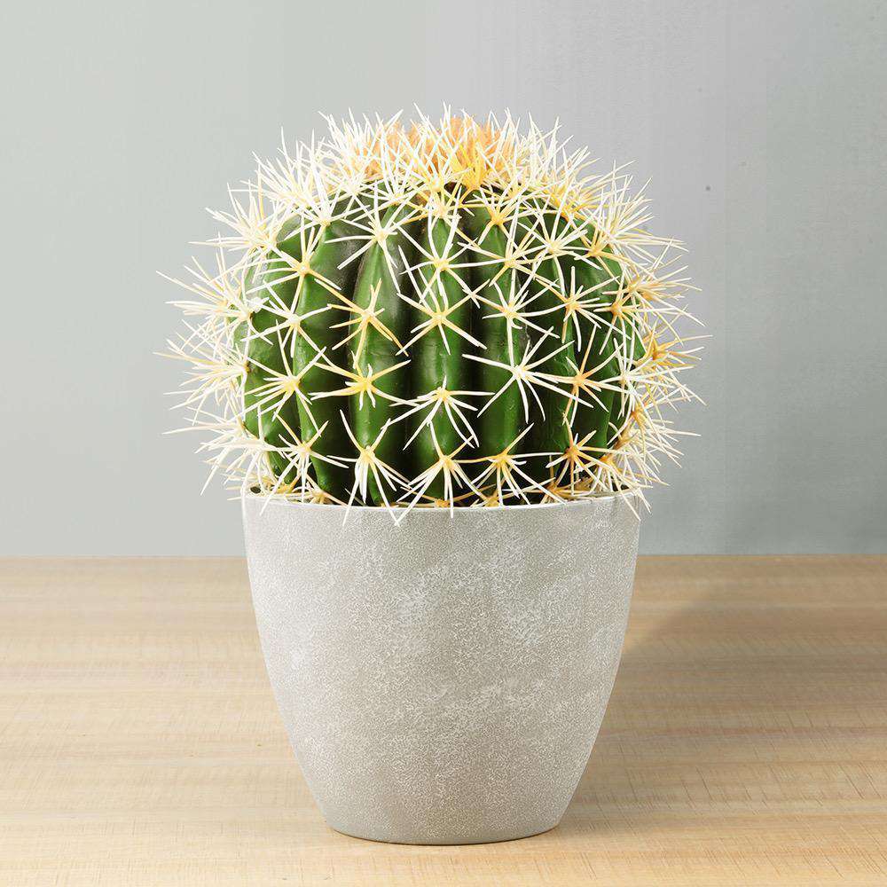 Coco Artificial Cactus Potted Plant 11