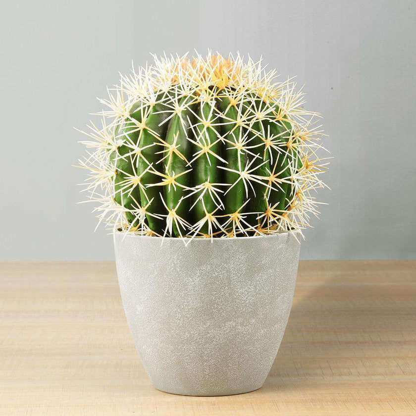 Coco Artificial Cactus Potted Plant 11