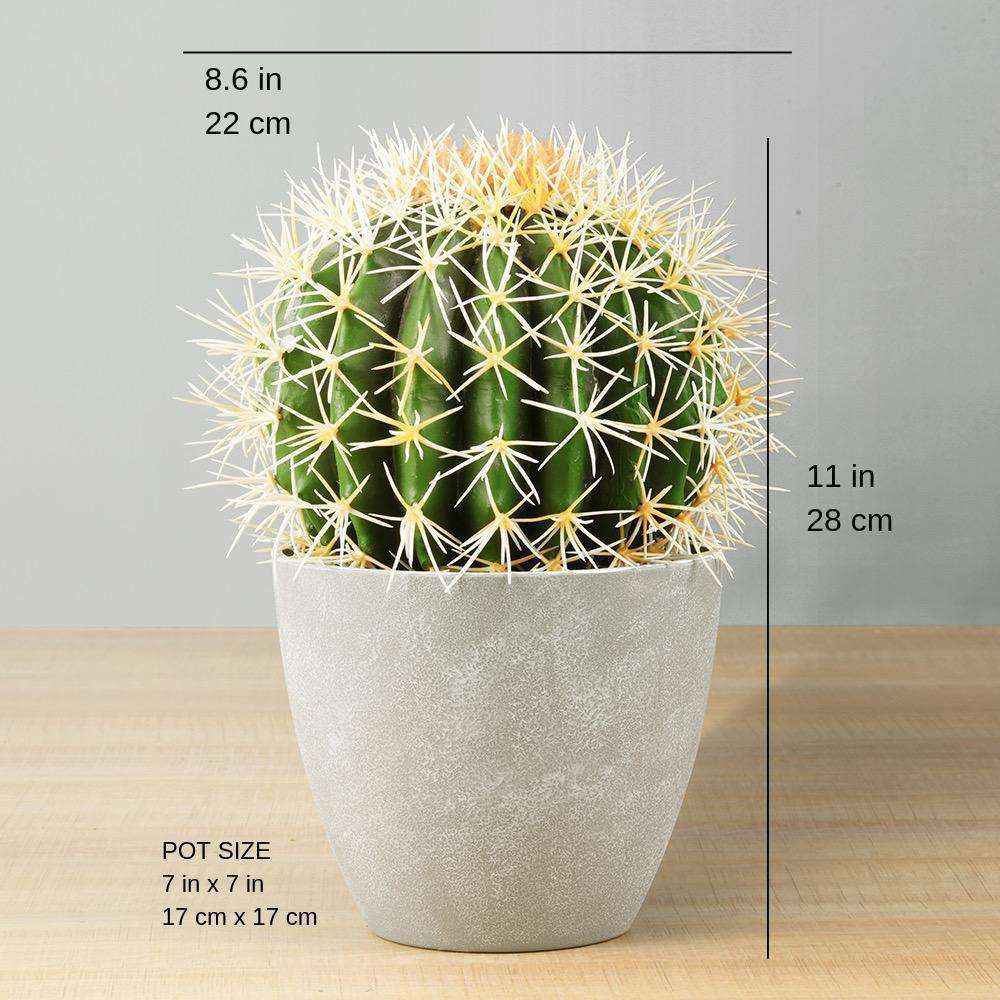 Coco Artificial Cactus Potted Plant 11