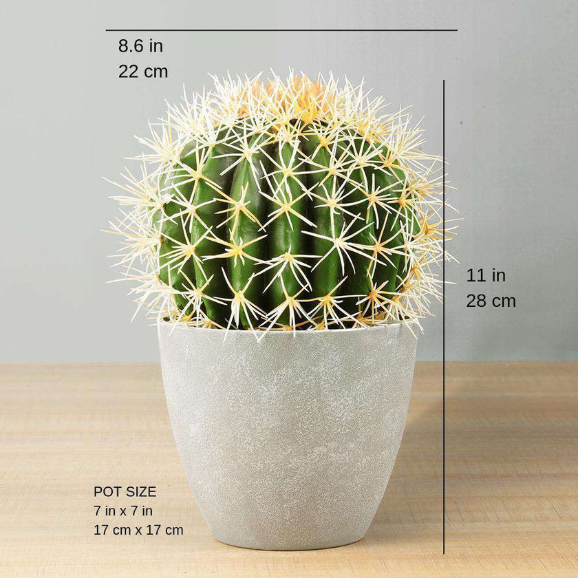 Coco Artificial Cactus Potted Plant 11