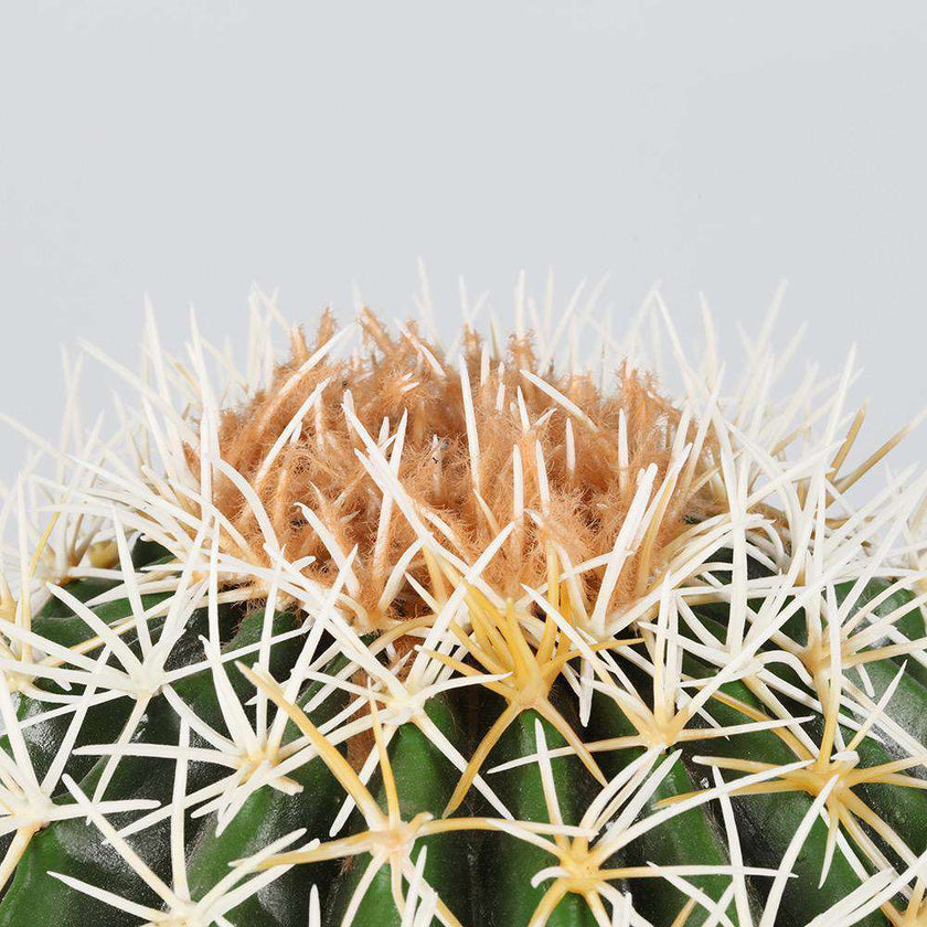 Coco Artificial Cactus Potted Plant 11