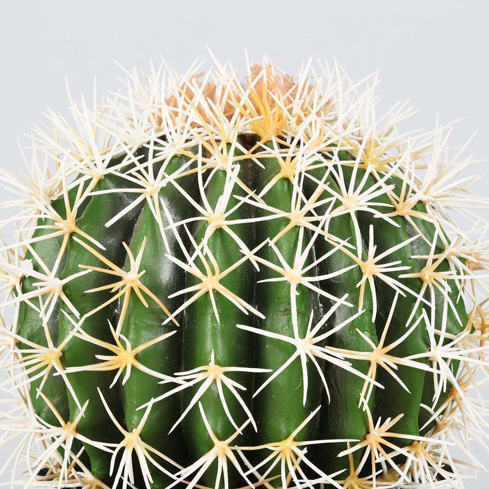 Coco Artificial Cactus Potted Plant 11