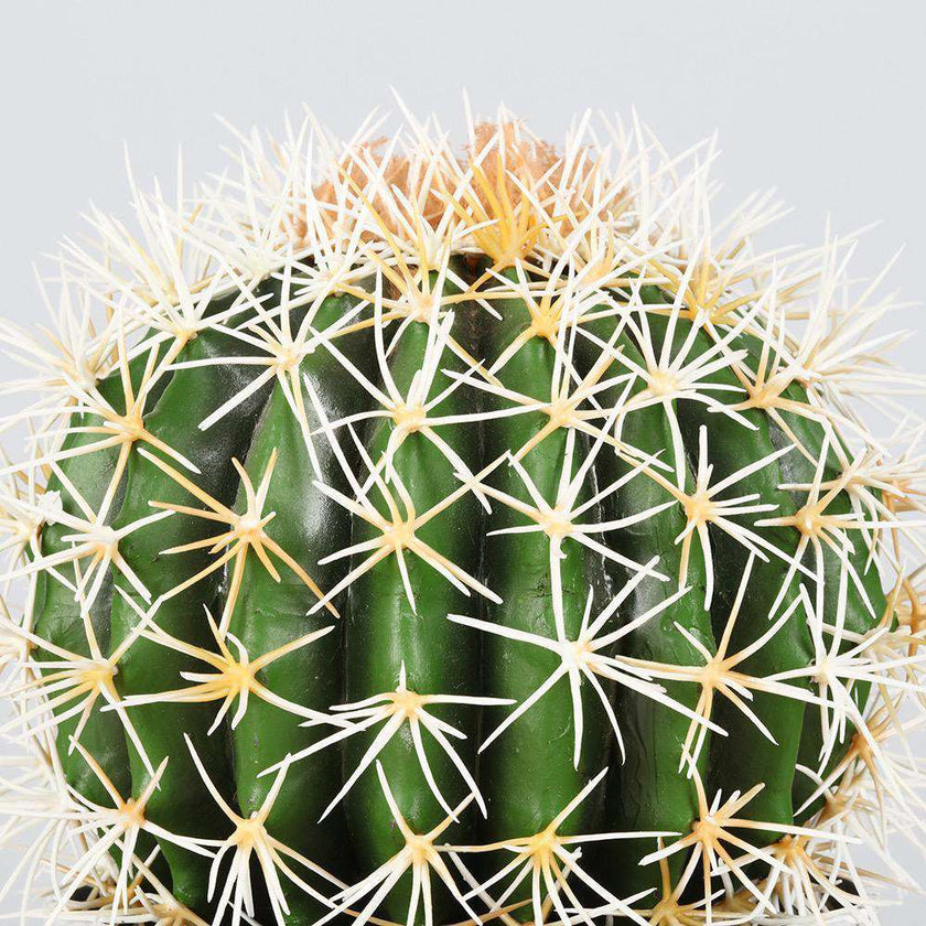 Coco Artificial Cactus Potted Plant 11
