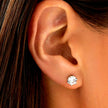 CODI Gold: Moissanite (Diamond Alternative) Essential Daily Studs