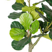 Cora Artificial Fiddle Leaf Potted Plant 5.5'