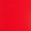 Colorplan 12X12 Cardstock 100#CV - 10 Sheets